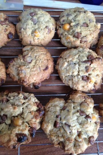 Chickpea chocolate chip cookies on a cooling rack.