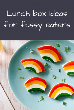 lunch box ideas for fussy eaterslunch box ideas for fussy eaters