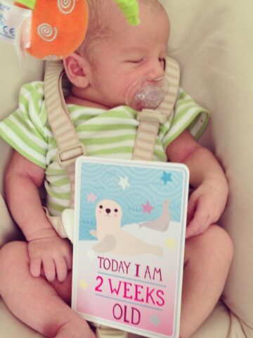 I am currently 2 weeks old.
