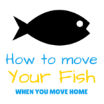 How to Move A Fish Tank When You Move Home How to move fish when you move home