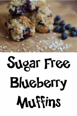 sugar free blueberry muffins