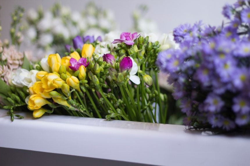 spring flowers in a bathtub