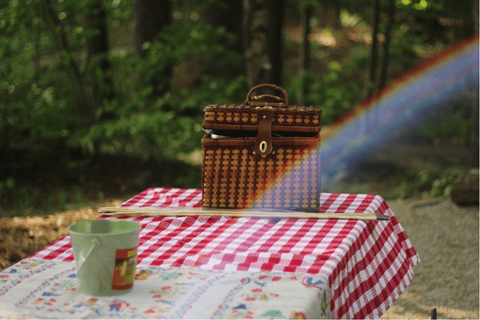 perfect family picnic