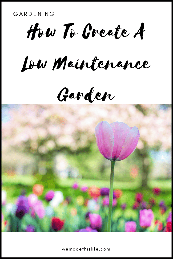 How To Create A Low Maintenance Garden