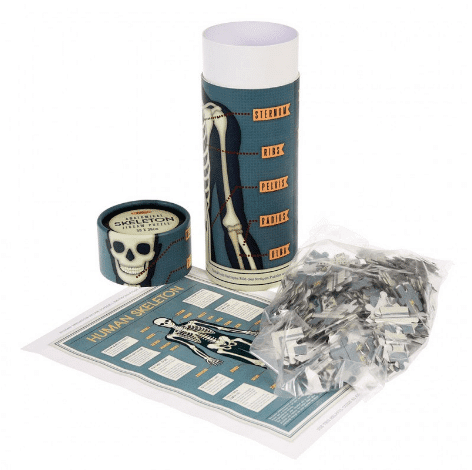 Anatomical Skeleton Puzzle In A Tube