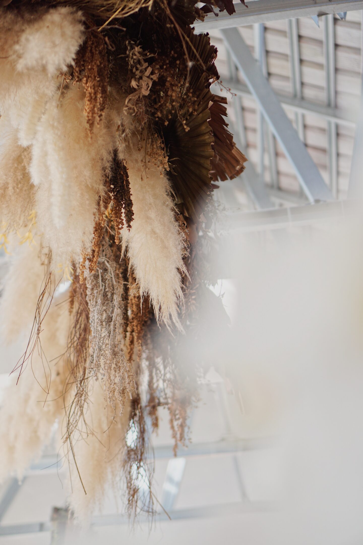 Fluffy pampas grass flumes used as hanging decor