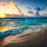 beach.