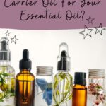 A collection of bottles filled with vibrant carrier oils and aromatic herbs, inviting the question: what's the best carrier oil for essential oils?.