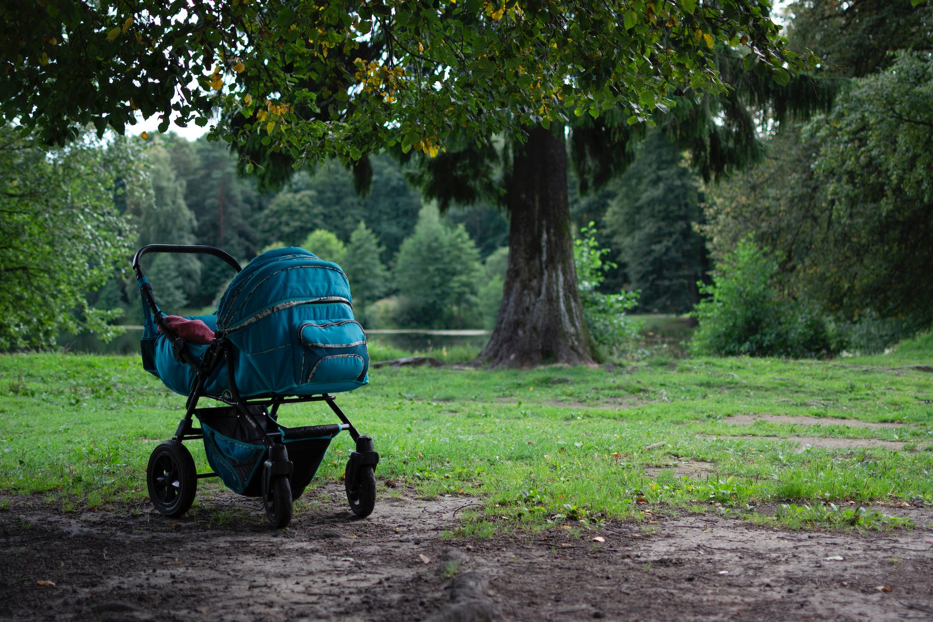 stroller standing under tree