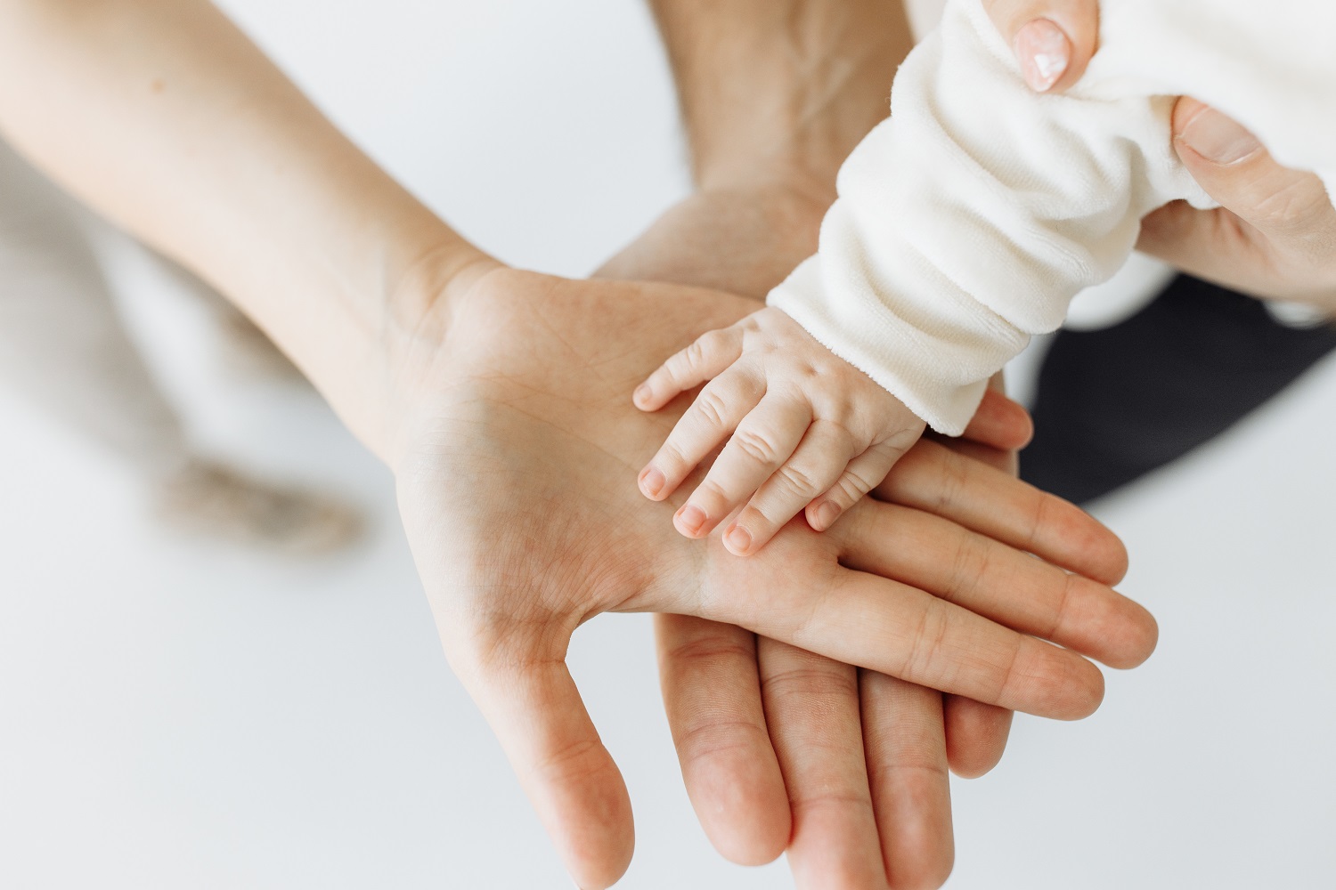 Close-up photo of hands. Family photo session with a little child, in the studio on a white background. The family expresses support and love for each other. High quality photo