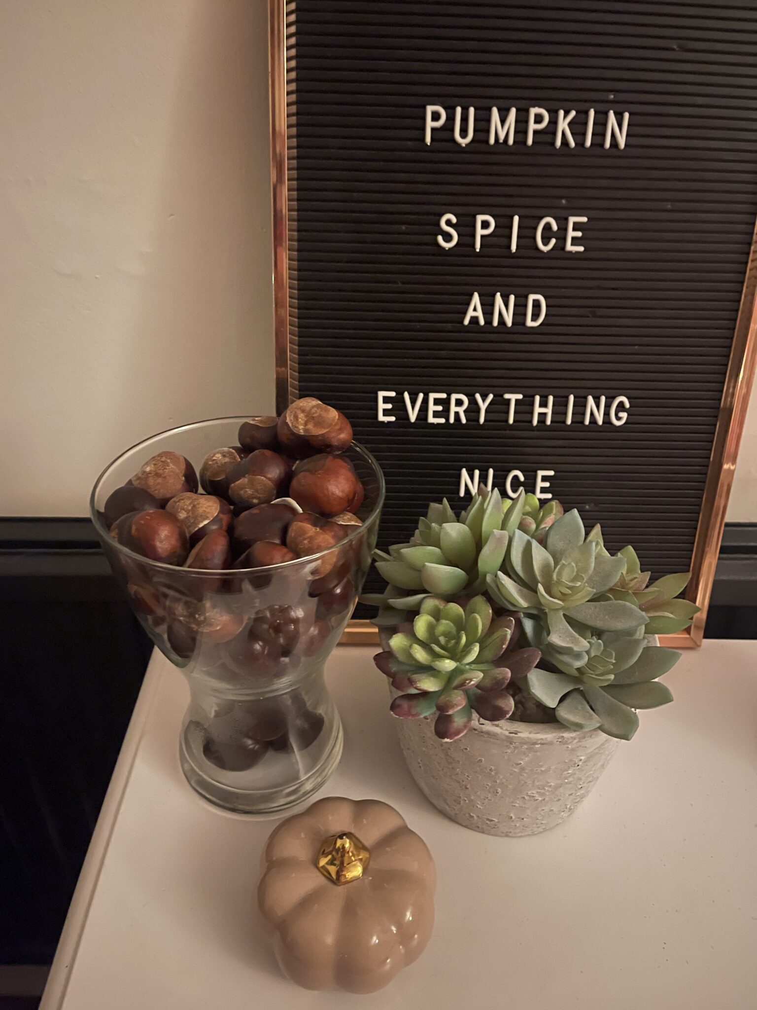 Making Conker Decorations for Your Home