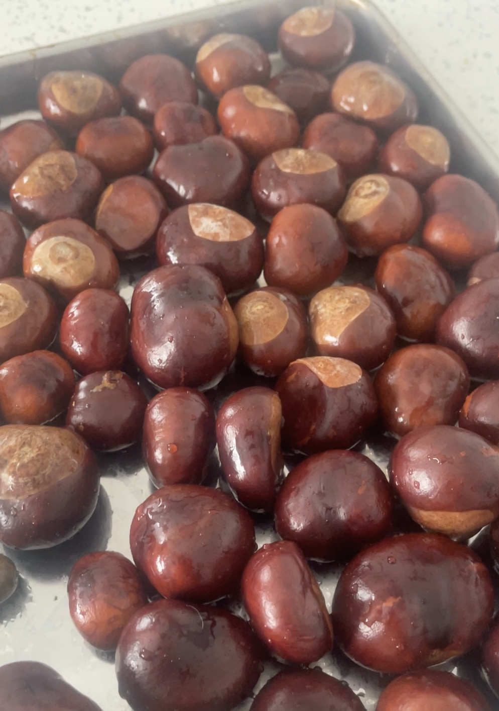 conkers on a tray