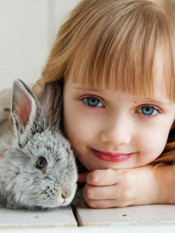 Young girl with blue eyes smiling beside a grey rabbit indoors, illustrating the nurturing bond between kids and pets.