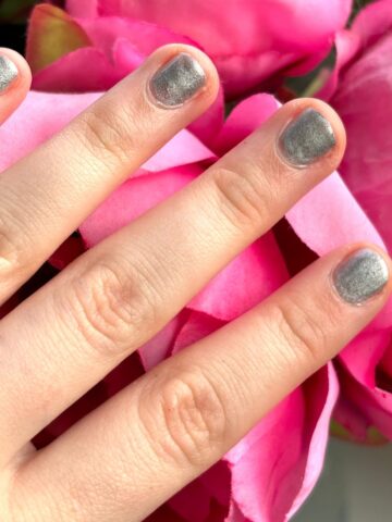 Close-up of a hand with metallic gray nail polish from Sistaco on fingers resting on vibrant pink roses.
