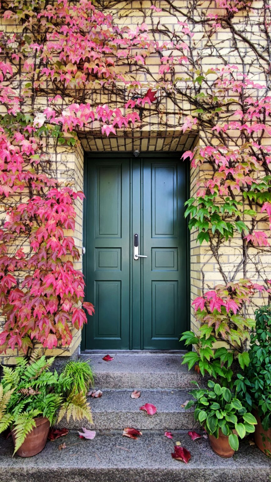 Can You Paint Composite Doors? - A Step-by-Step Guide - We Made This Life