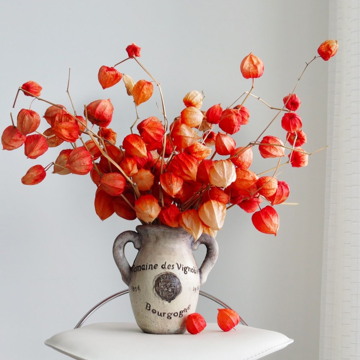A Pinterest-inspired ceramic vase labeled "Domaine des Vignobles Bourgogne" holds orange and beige dried physalis branches, adding Autumn comfort on a white cushioned surface against a light background.