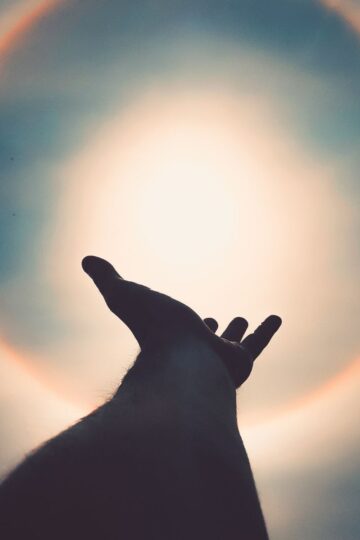 A hand is reaching up toward the sun with a visible circular halo around it in the sky, symbolizing Human Design Variables and the pursuit of a Positive Living Environment.