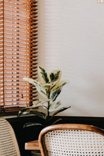 A dining area with a round wooden table, woven-back chairs, a potted plant, and natural woven wood blinds on the window creates an inviting space for sustainable living.