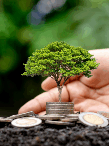 A Global Guide for Innovations in Sustainable Living A small tree grows from a stack of coins held by a hand, surrounded by more coins on soil, symbolizing financial growth, sustainable living, and environmental investment.