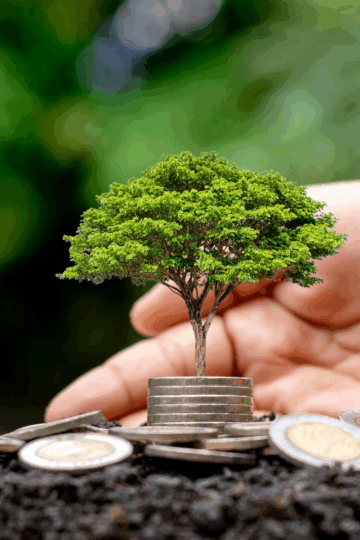 A small tree grows from a stack of coins held by a hand, surrounded by more coins on soil, symbolizing financial growth, sustainable living, and environmental investment.