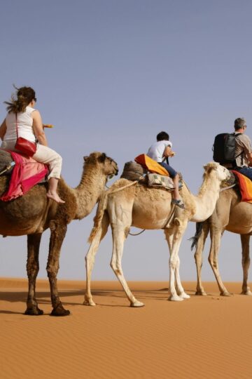 Four people riding camels across sand dunes in a desert under a clear sky, making unforgettable memories on family trips Dubai is known for.