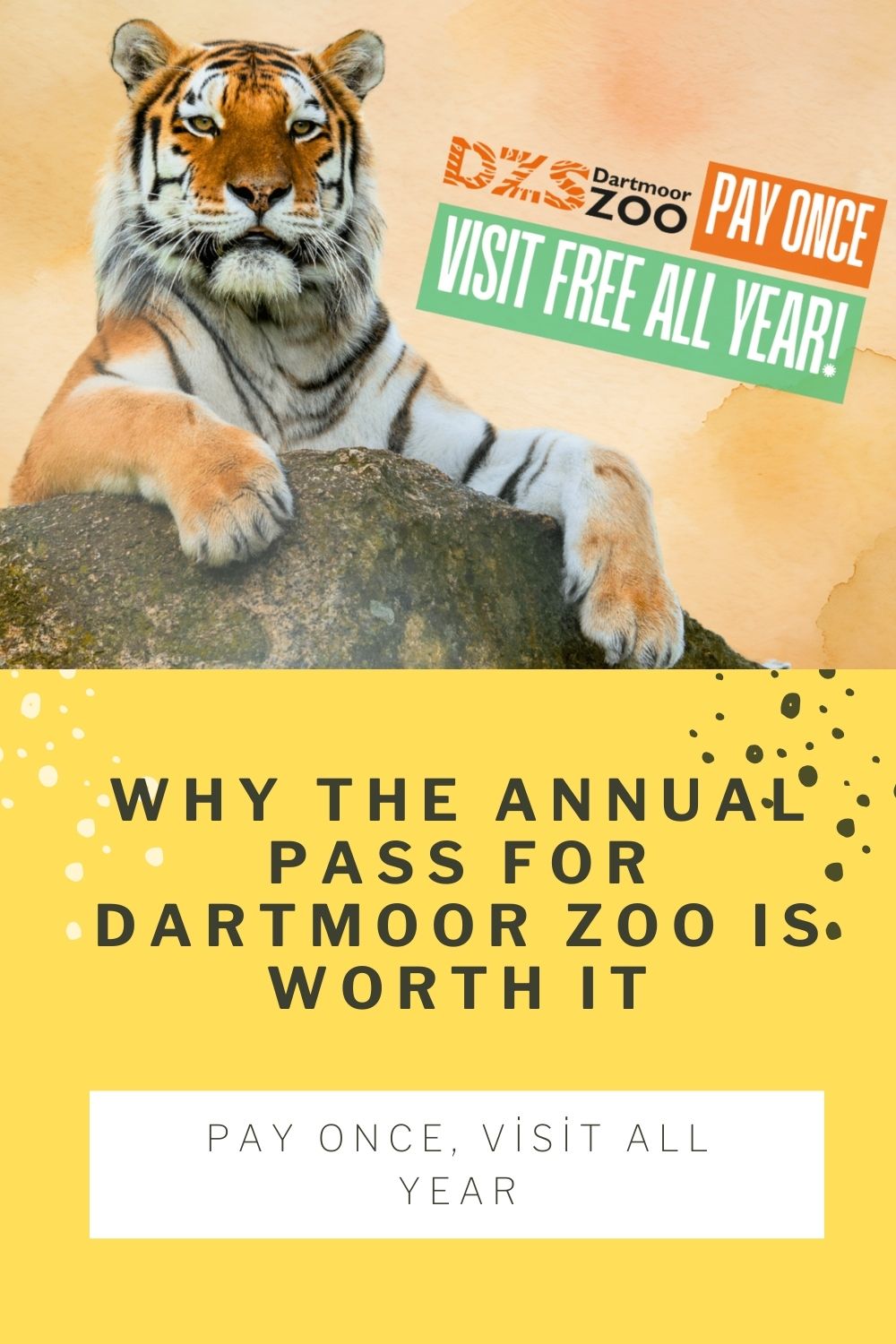 A tiger lounges on a rock beside a Dartmoor Zoo promotion that reads, "Pay once, Visit All Year," highlighting the great value of their Annual Pass.