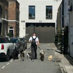 A dedicated dog walker, hired by busy owners, walks down a city street with a backpack and five dogs of various breeds and sizes.
