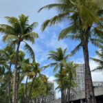 Tall palm trees with green fronds stand beneath a blue sky dotted with clouds, while modern high-rise buildings of Waikiki resorts rise in the background-a perfect 2026 escape for couples.