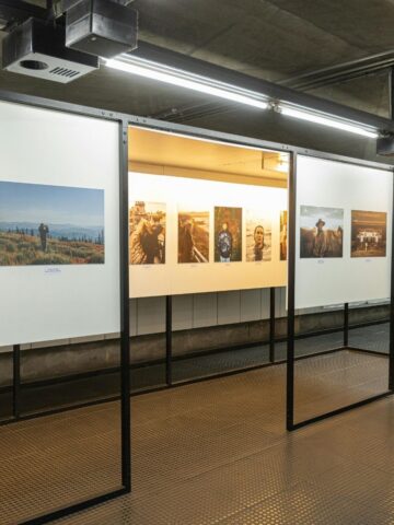 Experience a photography exhibition in a modern indoor space, featuring framed photographs displayed on white panels under ceiling lights-showcasing easy display solutions ideal for exhibitions.