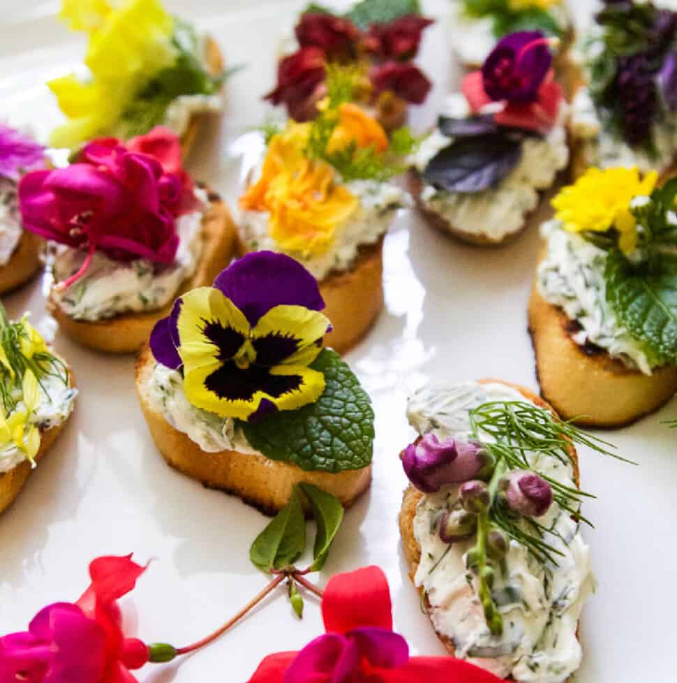 Slices of toasted bread topped with herbed cream cheese and garnished with assorted colourful edible flowers and fresh herbs on a white plate.