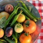 A metal plate on a red and white chequered tablecloth holds tomatoes, green chillies, cucumbers, plums, a peach, and a small round fruit-inviting you to know where your food comes from and embrace food transparency.