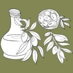 Can You Cook With Olive Oil? Line drawing of a glass olive oil jug, olive branches with leaves and olives, and a bowl of sliced olives, all set on an olive green background.