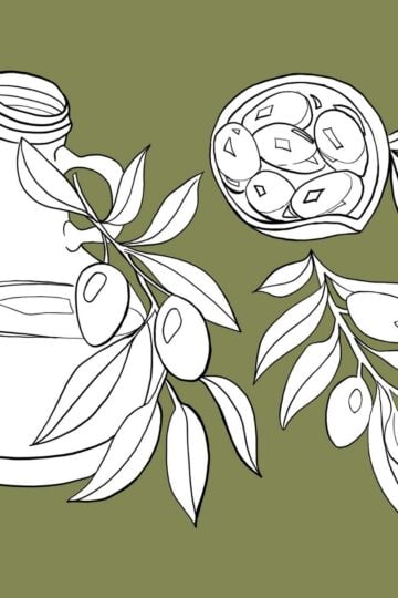 Can You Cook With Olive Oil? Line drawing of a glass olive oil jug, olive branches with leaves and olives, and a bowl of sliced olives, all set on an olive green background.