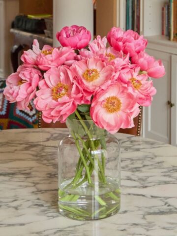 A clear glass vase with pink peonies sits on a round marble table in a room with bookshelves and a colourful crocheted blanket-an inviting scene that's the perfect choice for gifting flowers.