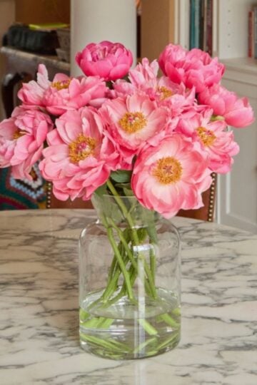 A clear glass vase with pink peonies sits on a round marble table in a room with bookshelves and a colourful crocheted blanket—an inviting scene that’s the perfect choice for gifting flowers.