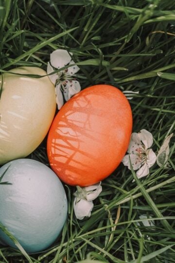 Three coloured eggs—yellow, orange, and light blue—rest on green grass among a few white flower petals, creating a perfect scene for kids’ egg hunts on a safe lawn.