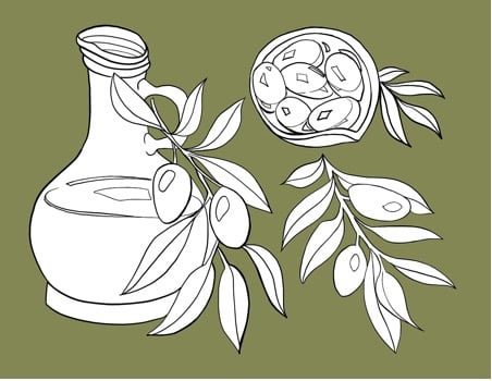 Can You Cook With Olive Oil? Line drawing of a jug, perfect for cooking olive oil, surrounded by olive branches, a halved pomegranate, and leaves, set against an olive green background.