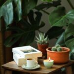 A wooden table holds two books, a cup of coffee on a saucer, a lit candle, and two potted succulents-inviting daily rituals that foster wellbeing amid large green leaves in the background.