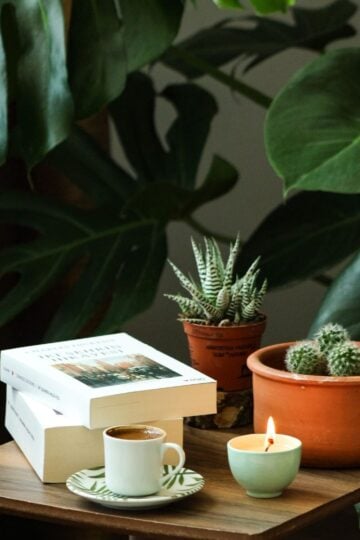 How to Create a Calmer Home: Simple Daily Rituals That Support Wellbeing A wooden table holds two books, a cup of coffee on a saucer, a lit candle, and two potted succulents—inviting daily rituals that foster wellbeing amid large green leaves in the background.