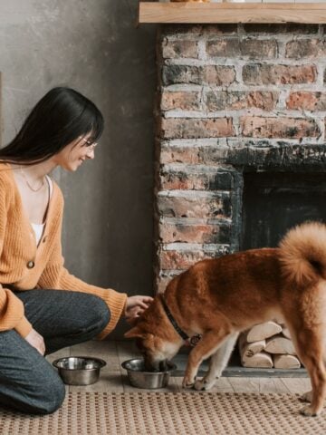 A woman in a brown jumper kneels on a rug and strokes her brown dog eating the best dog food from a bowl in front of a brick fireplace, perfect for a busy family lifestyle.