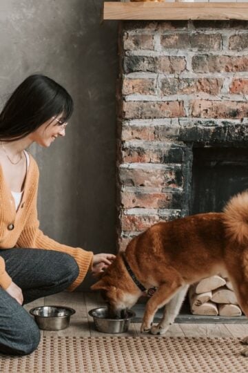 A woman in a brown jumper kneels on a rug and strokes her brown dog eating the best dog food from a bowl in front of a brick fireplace, perfect for a busy family lifestyle.