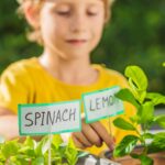A child in a yellow shirt tends to potted plants labelled "Spinach" and "Lemon" outdoors, enjoying garden learning for children in an inviting outdoor educational space, with greenery flourishing in the background.