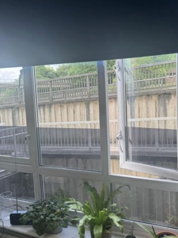 window tinting. A window with one pane open overlooks a concrete retaining wall and walkway; potted plants sit on the indoor windowsill, enhancing kerb appeal and offering inviting touches that support tenant retention.