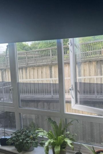 window tinting. A window with one pane open overlooks a concrete retaining wall and walkway; potted plants sit on the indoor windowsill, enhancing kerb appeal and offering inviting touches that support tenant retention.