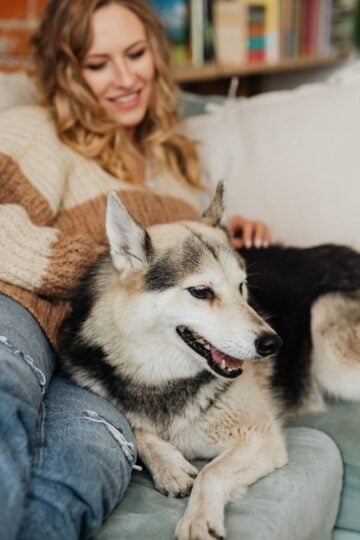 Woman in a striped jumper sits on a sofa, smiling, with her large black and grey dog beside her—showing the joy of having Dog Insurance from trusted providers.